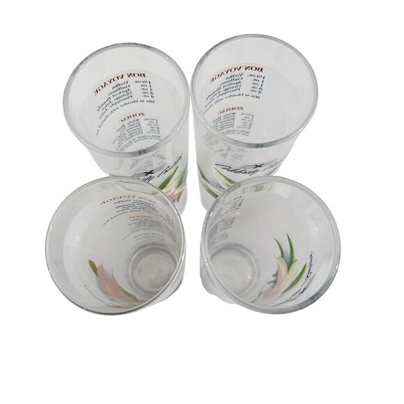 Celebrity Cruises Orchids Frosted High Ball Glasses Drink Recipe – Set of 4 - Picture 3 of 16